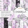 Cinderella Paper