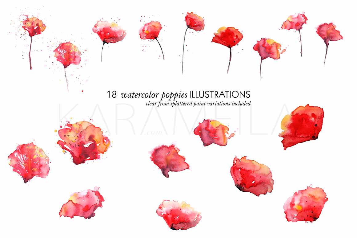 Poppies