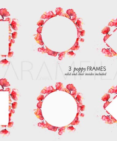 Poppies