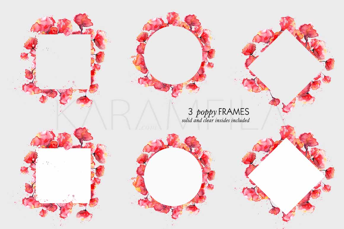 Poppies