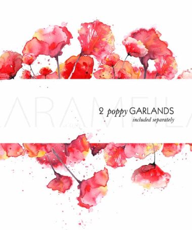 Poppies