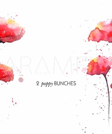 Poppies