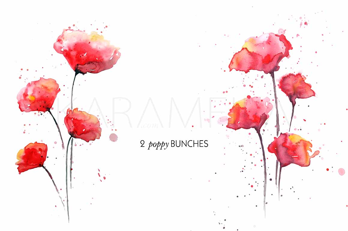 Poppies