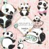 Panda Chic