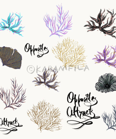 Opposite Attracts - Image 5